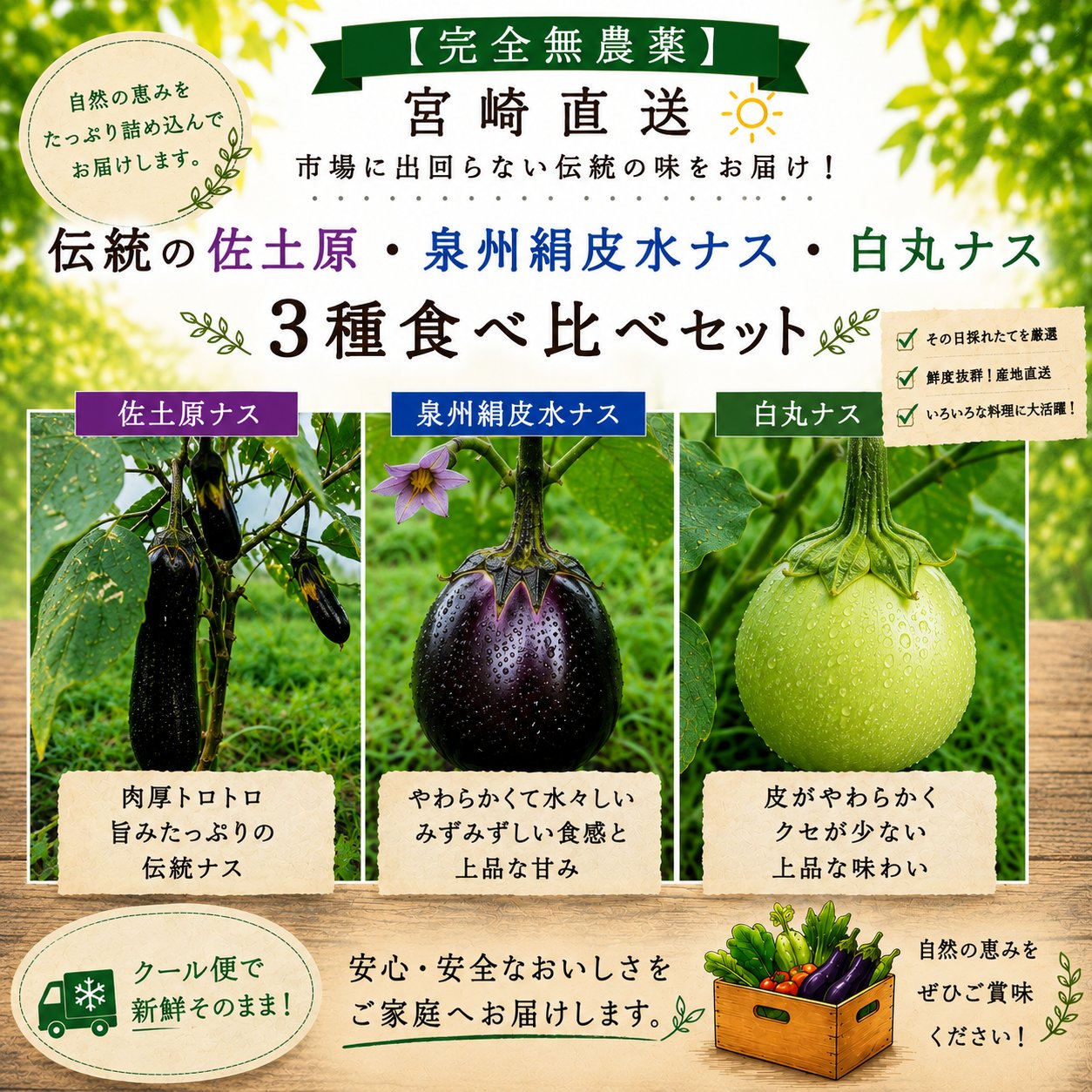 完全無農薬】宮崎直送 伝統の佐土原・泉州絹皮水ナス・白ナス3種食べ