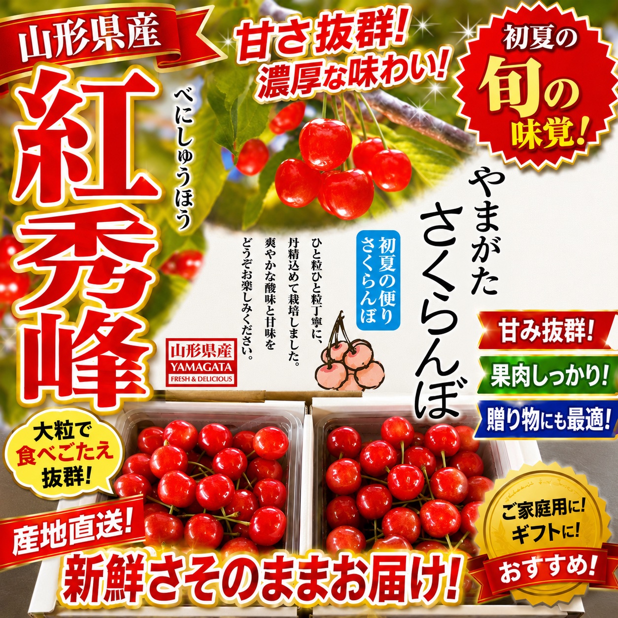 2箱 山形県産さくらんぼ 紅秀峰 ｜ 果物/さくらんぼ 産直アウル 農家