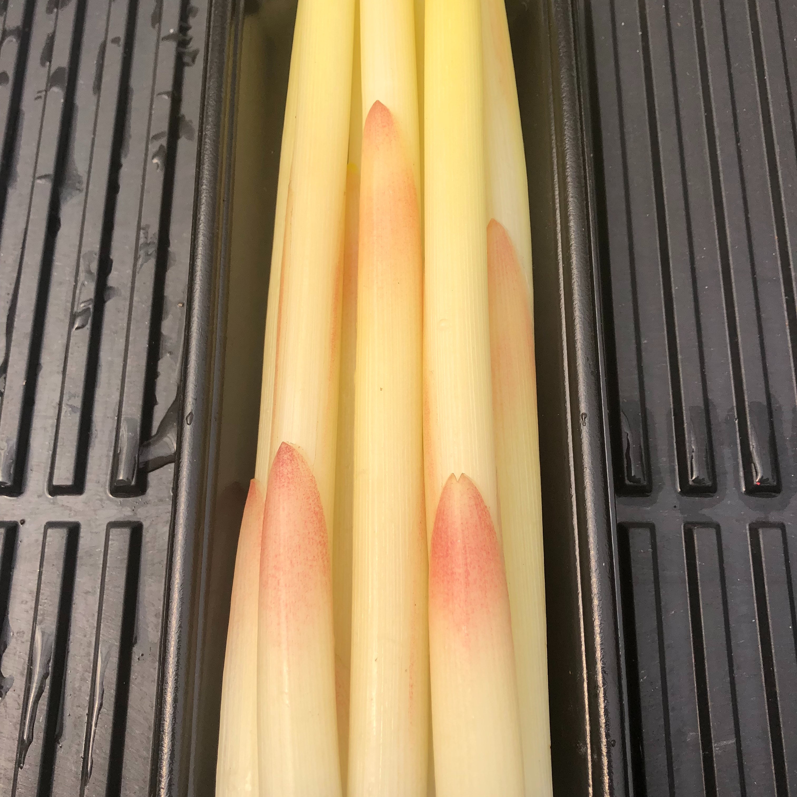 みょうが竹 7本パック ｜ 野菜/薬味 産直アウル 農家・漁師など生産者