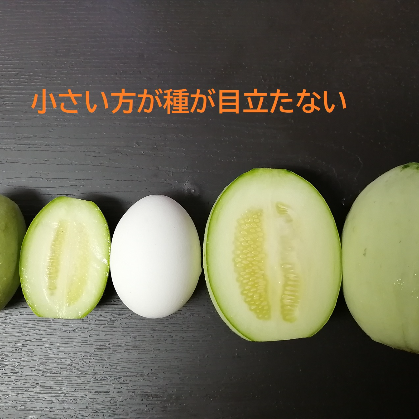 10キロ 摘果メロン　ベビーメロン