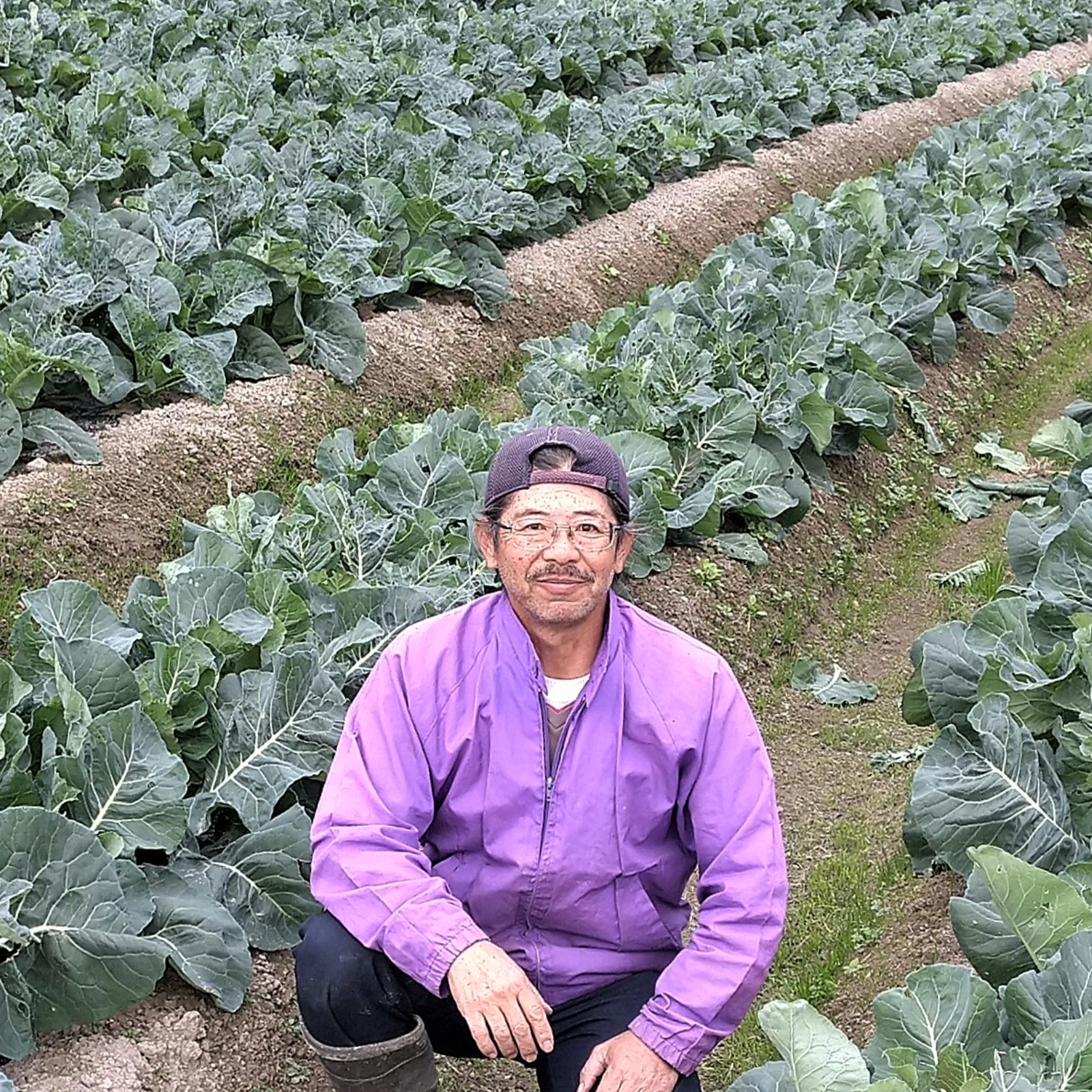 戸島農園nsのご紹介 下関市 産直アウル Owl 農家から直接野菜などの食材を購入できる産地直送の宅配通販サイト