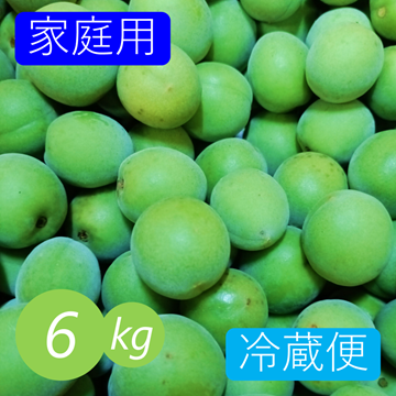 冷蔵便》【家庭用】青梅 6kg 愛媛県産 梅ジュース 梅シロップ 梅干し