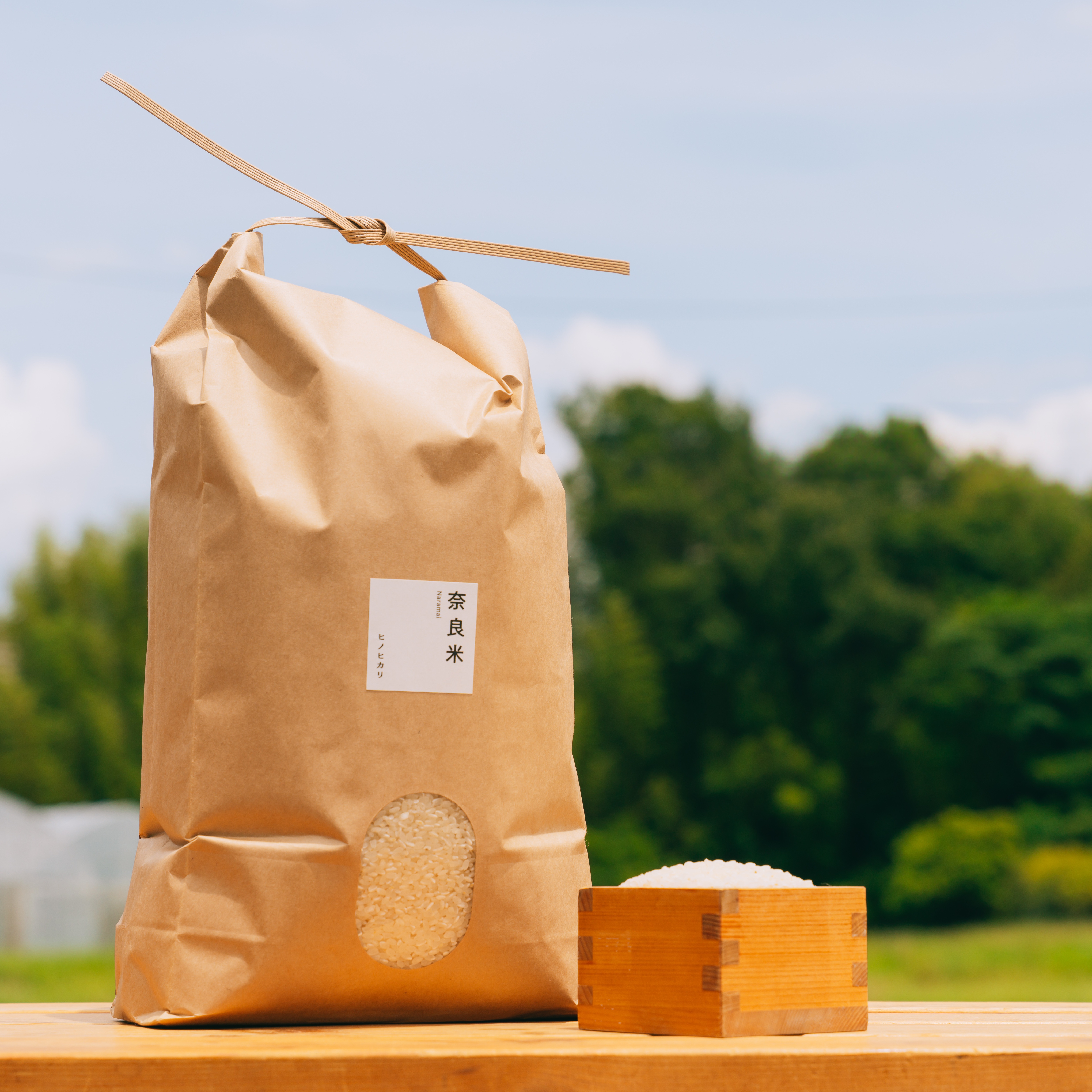 お取り置き♡～あんず～♡ヒノヒカリ24kg玄米。奈良県産 ヒノヒカリ(玄米)（米・穀物＞玄米）の産地直送商品一覧（通販・お