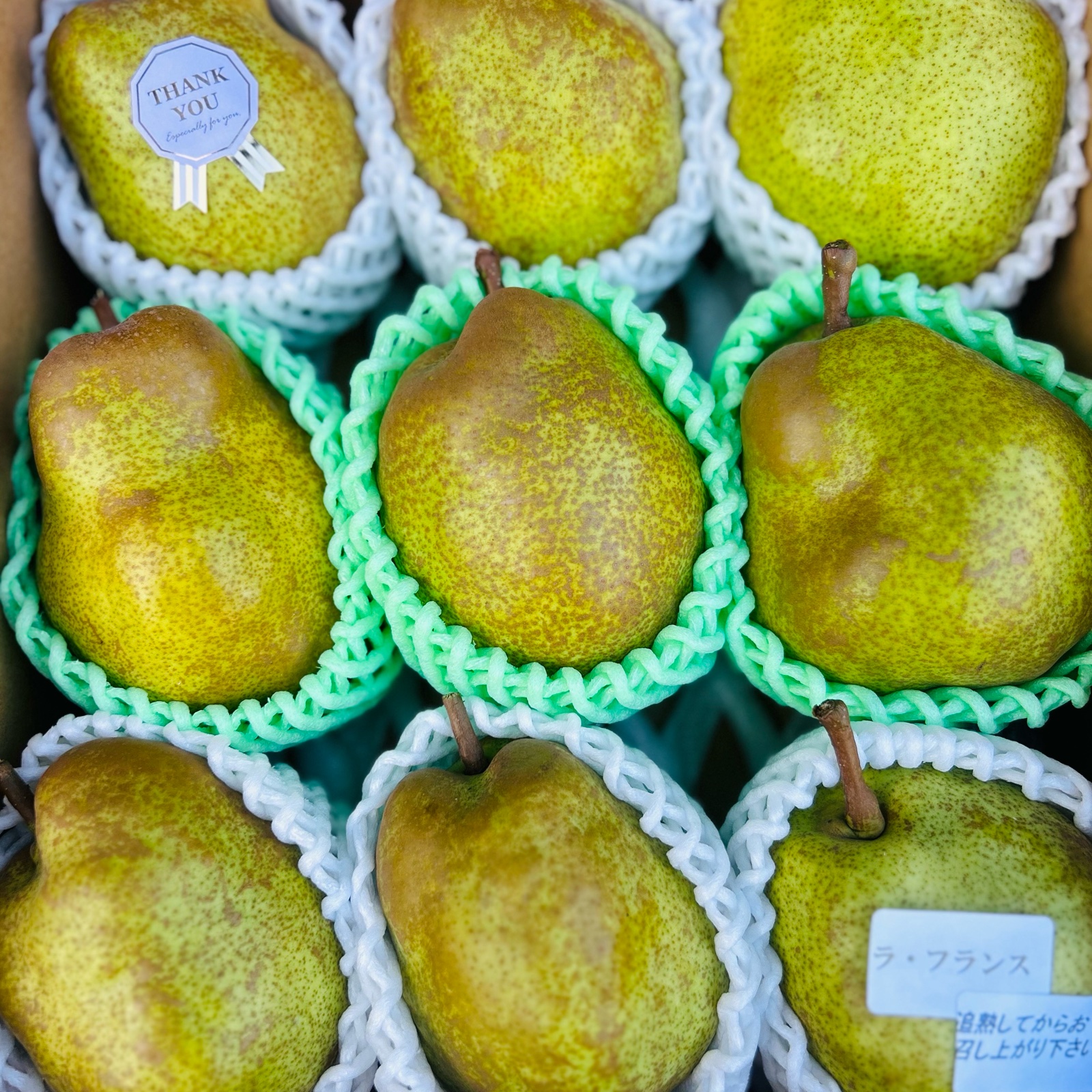 洋梨 ラフランス | 果物/梨 産直アウル 農家から直接野菜などの食材を