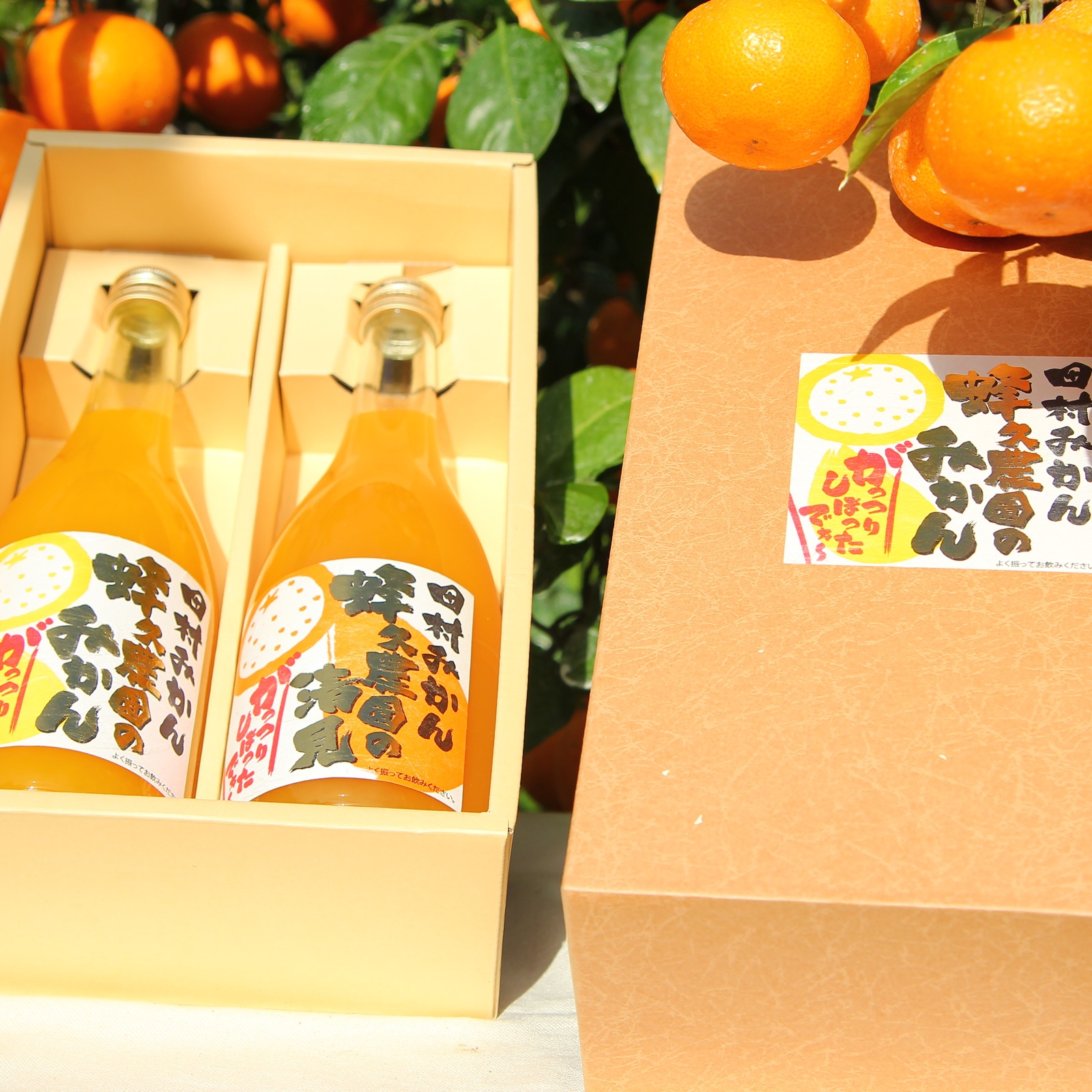 蜂久農園のみかんガッツリしぼったでぇジュースセット ｜ 飲料