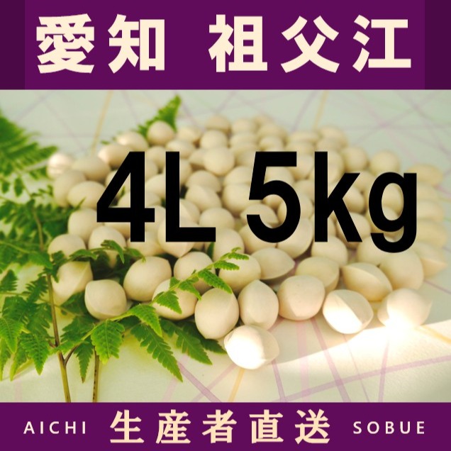 2026年新物 久寿 銀杏ぎんなん 祖父江産 4L 8kg 2026年新物！ 愛知県 祖父江産 久寿 銀杏 ぎんなん 4L 5kg ☆秋の味覚