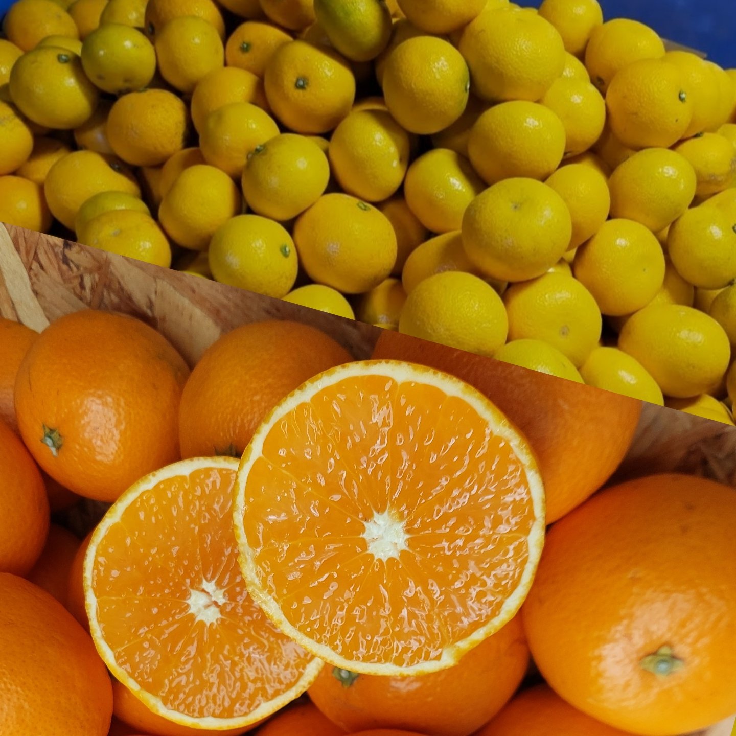 上尚みかん畑🍊（和歌山県・有田市）｜生産者詳細｜産直アウル