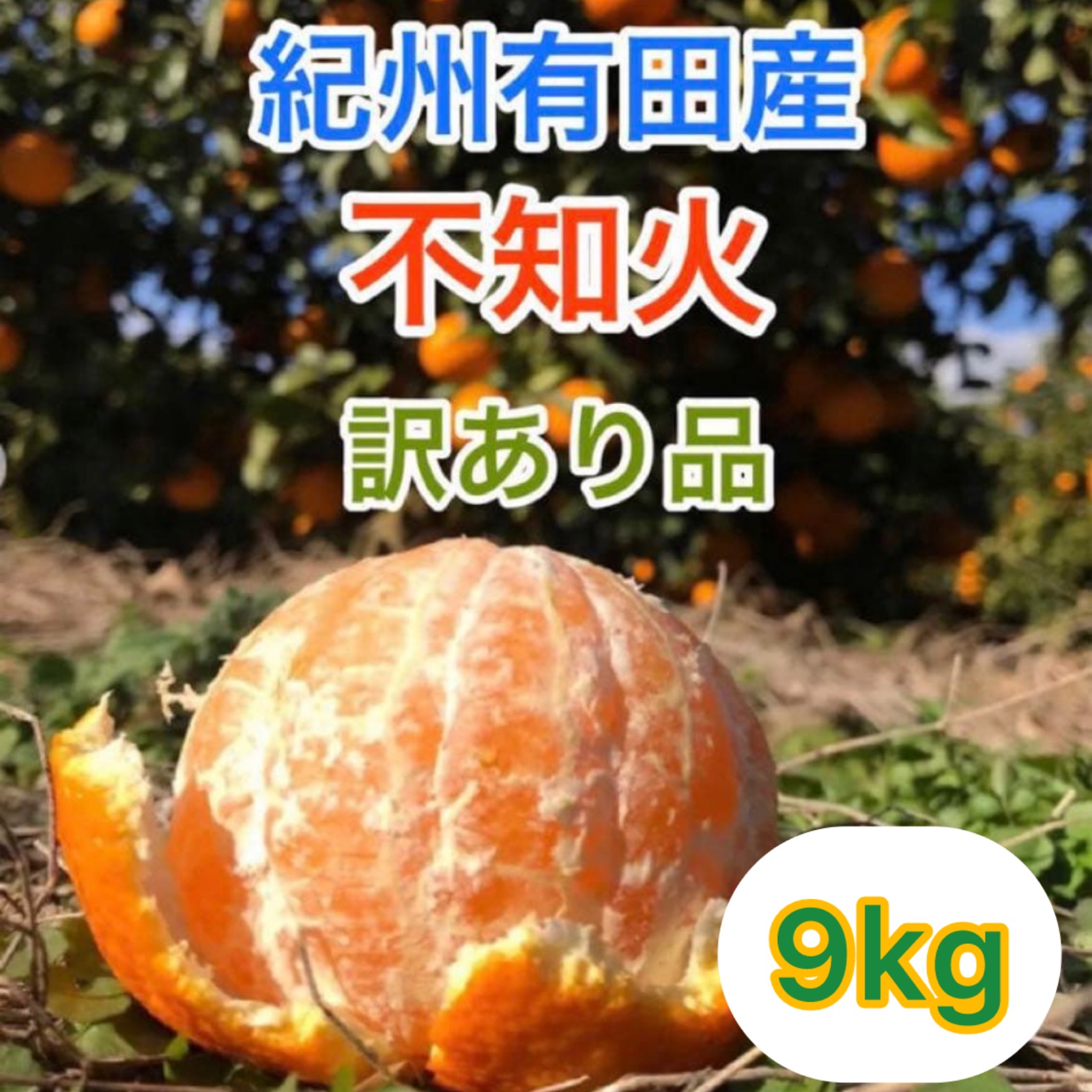 デコポンと同品種！紀州有田産 不知火 訳あり品9kg | 果物/オレンジ