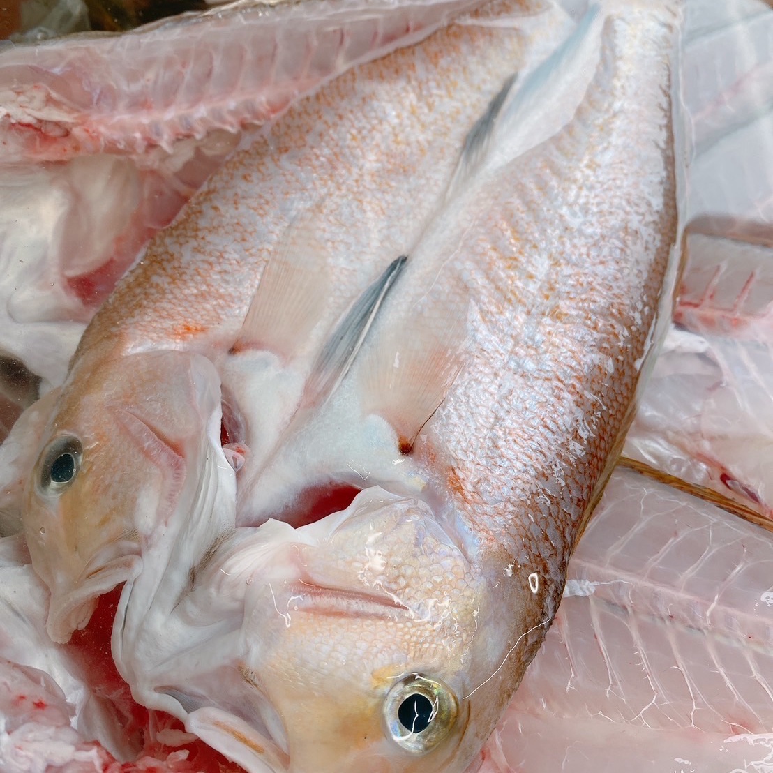 0ad25071e1e2de2eadc51b4b294780