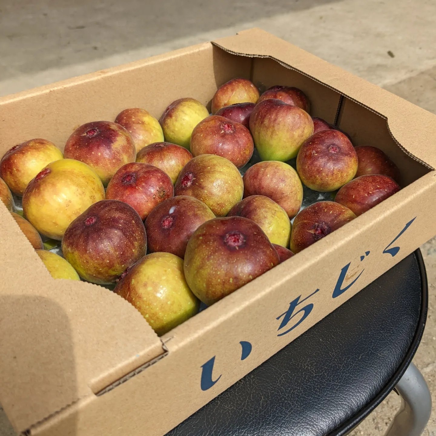 小さな自然農園 にゃんモコ（福岡県・嘉麻市）｜生産者詳細｜産直アウル