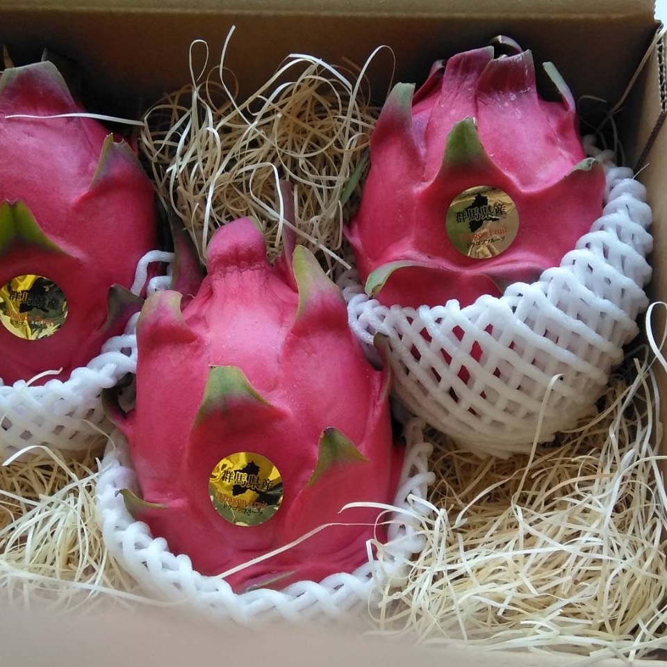 ドラゴンフルーツ（果物）の産地直送商品一覧（通販・お取り寄せ