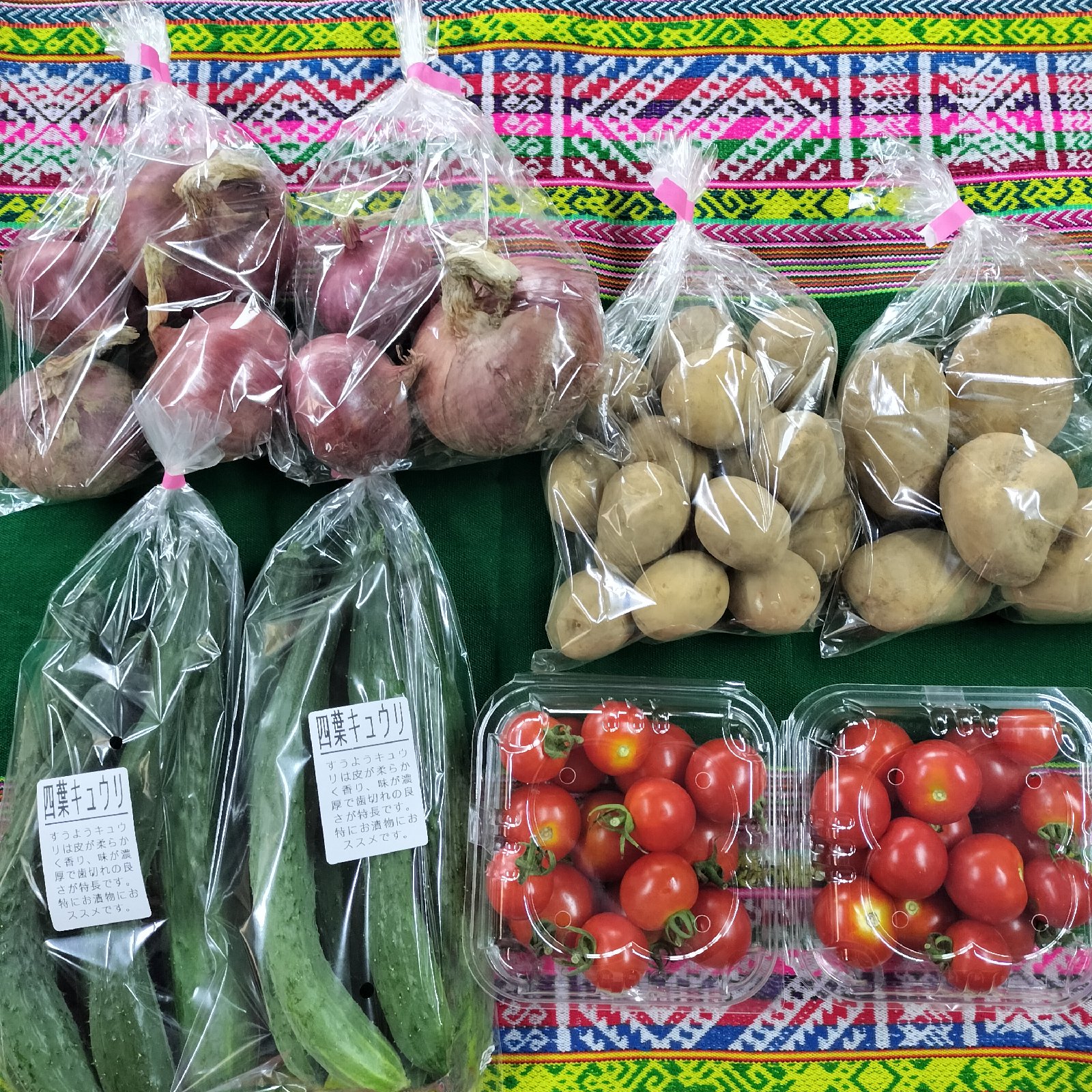 Pachamamaの最新投稿「夏野菜セット」｜産地直送の販売・育成情報