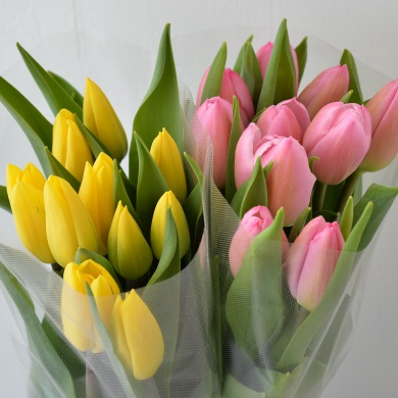 ちゅーりっぷ テツヤ SHORTY 4 INTO 1 ZX14 06-25 POLISHED VEFSZX14K6P* – VooDoo