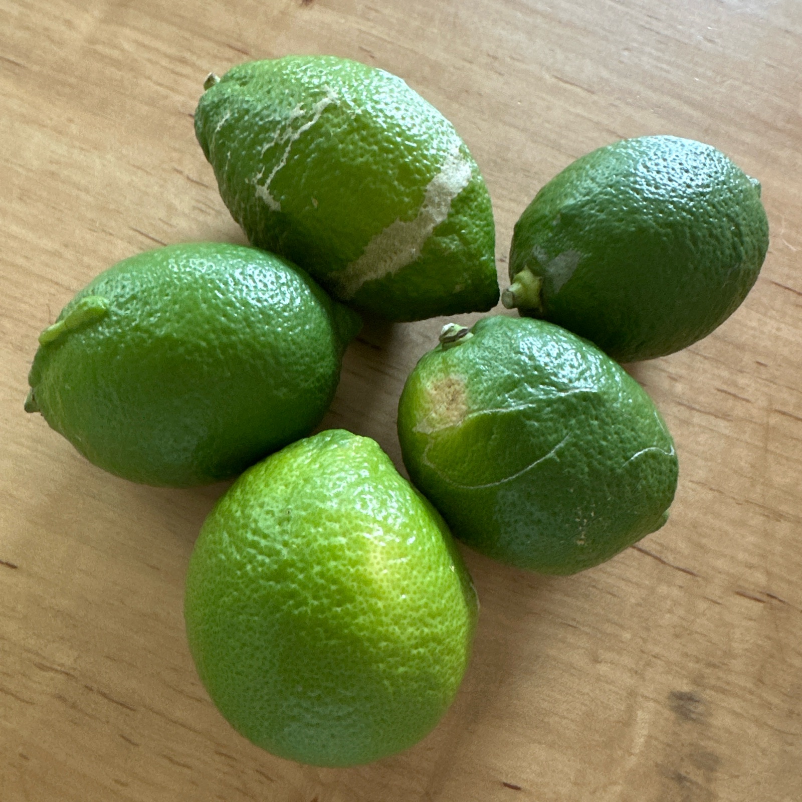 農薬不使用！】 国産レモン 10kg | 果物/香酸柑橘(ライム・レモン等