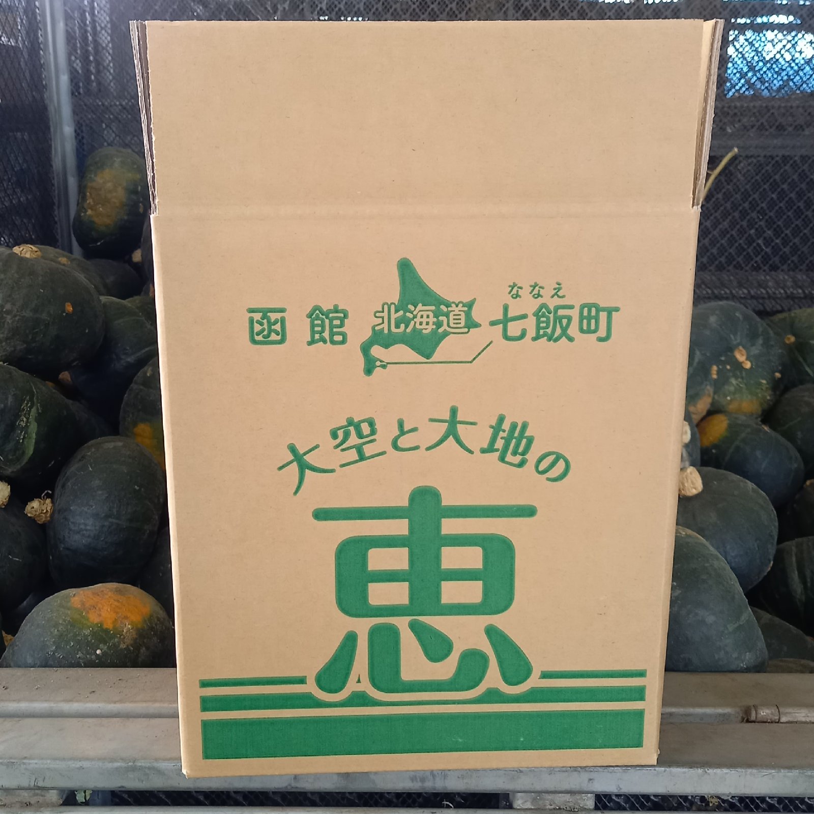 hitomi様用訳あり鹿児島県産栗カボチャ15キロ 訳あり 栗カボチャブラックのジョー 約4kg(2個～5個) ｜ 野菜/かぼちゃ