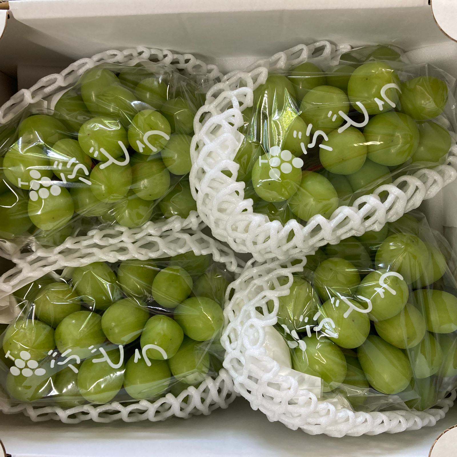 残りわずか☆シャインマスカット2キロ　2kg シャイン2キロ | 山雅ファブリカン