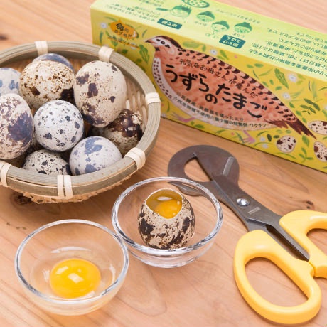 うずらの生卵20個＋燻製玉子5個入り5セット | 卵/卵セット・詰め合わせ