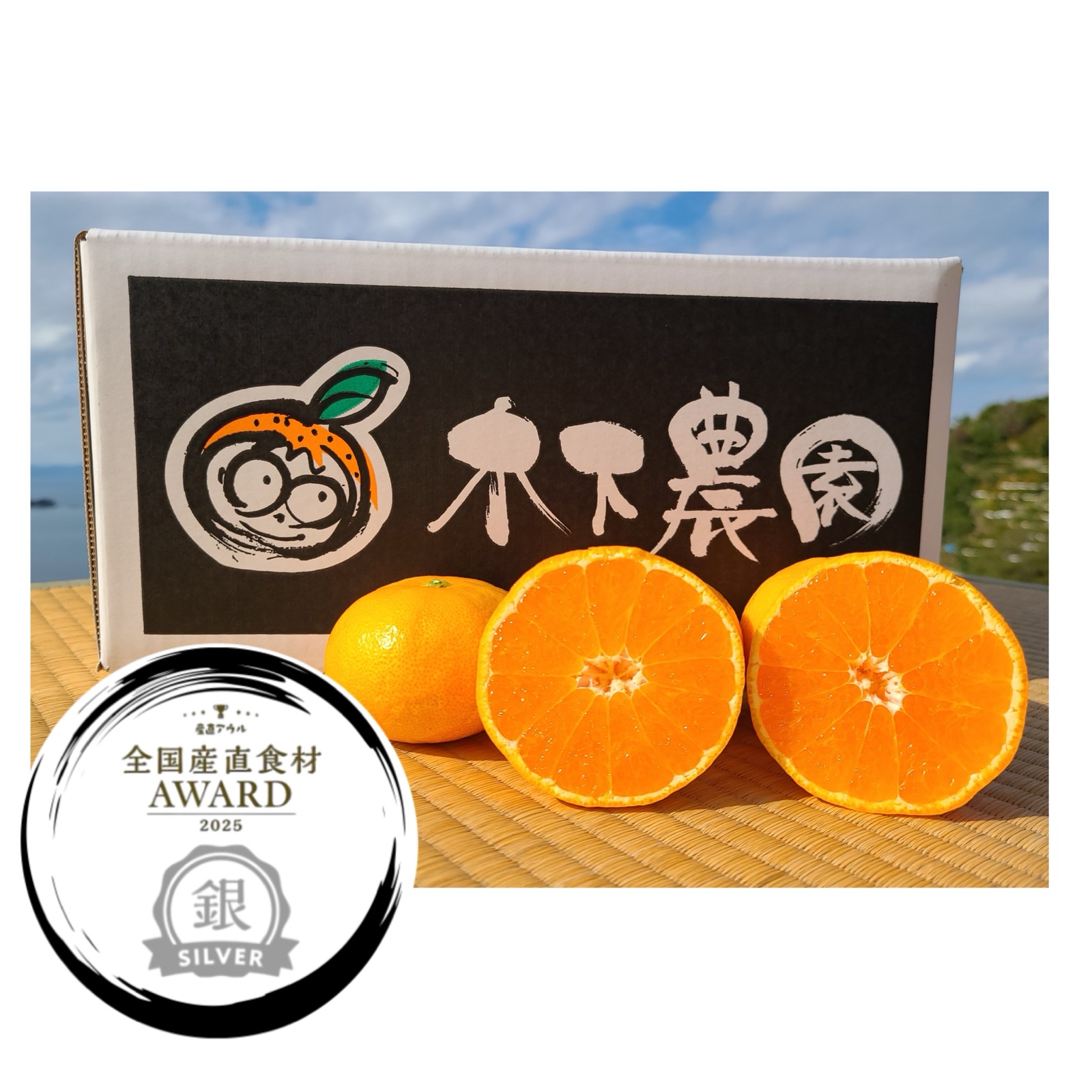 木下さんちのみかん 良品3キロ※1月6日より順次発送 | 果物/温州みかん