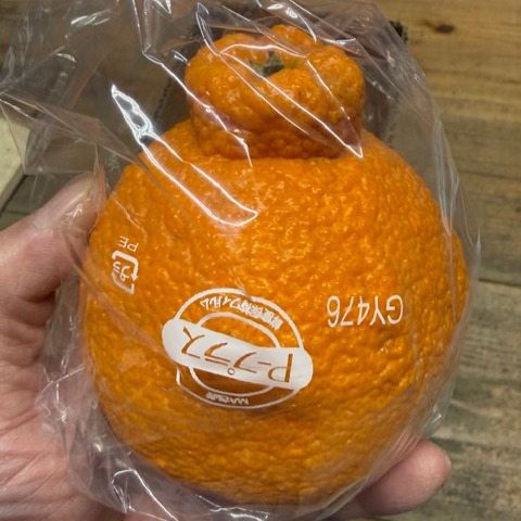 不知火・デコポンの産地直送商品一覧（通販・お取り寄せ）-産直アウル