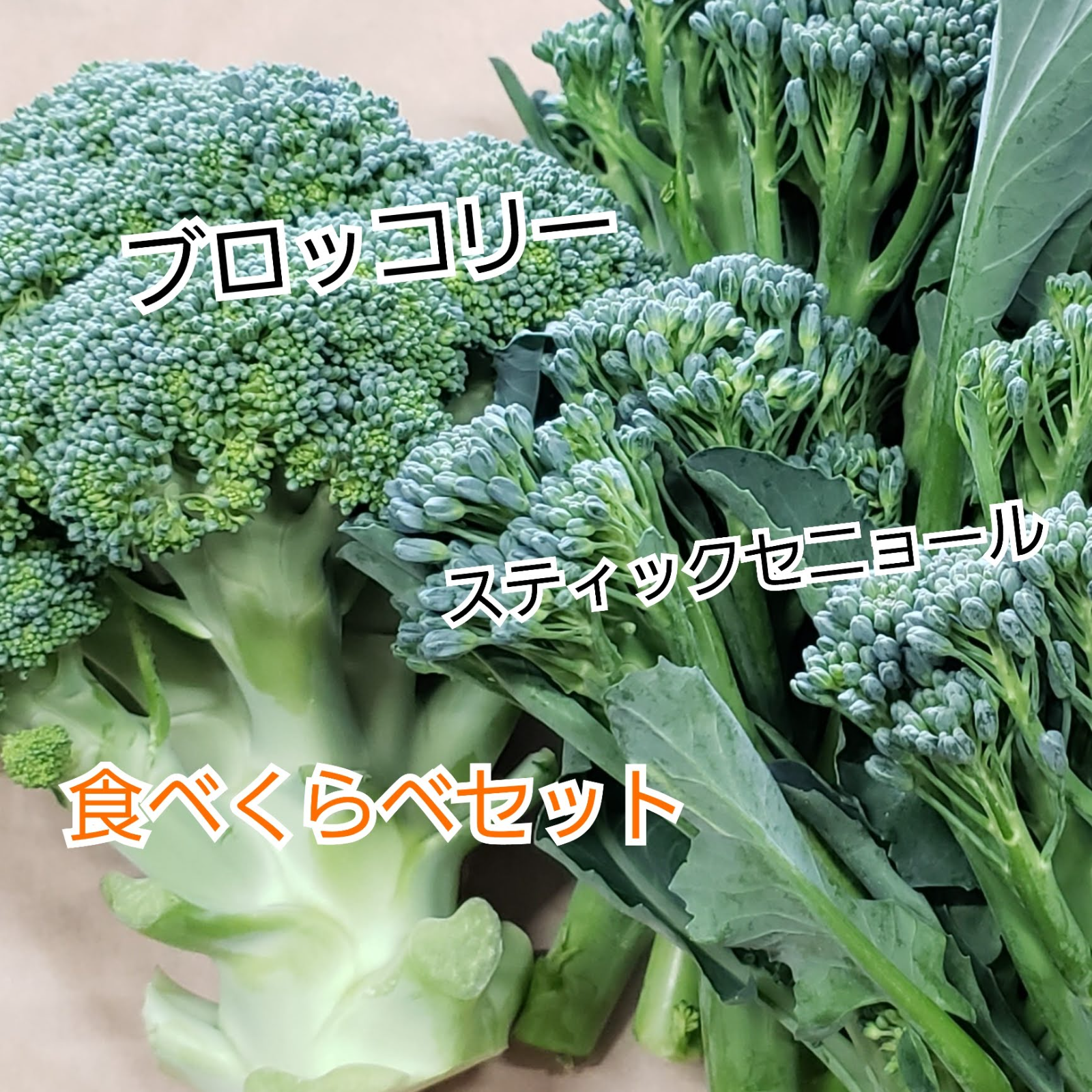 スティックセニョール ブロッコリー 食べくらべセット ブロッコリー2本とスティックセニョール500g 野菜 ブロッコリー 産直アウル 農家から直接野菜などの食材を購入できる産地直送の宅配通販サイト