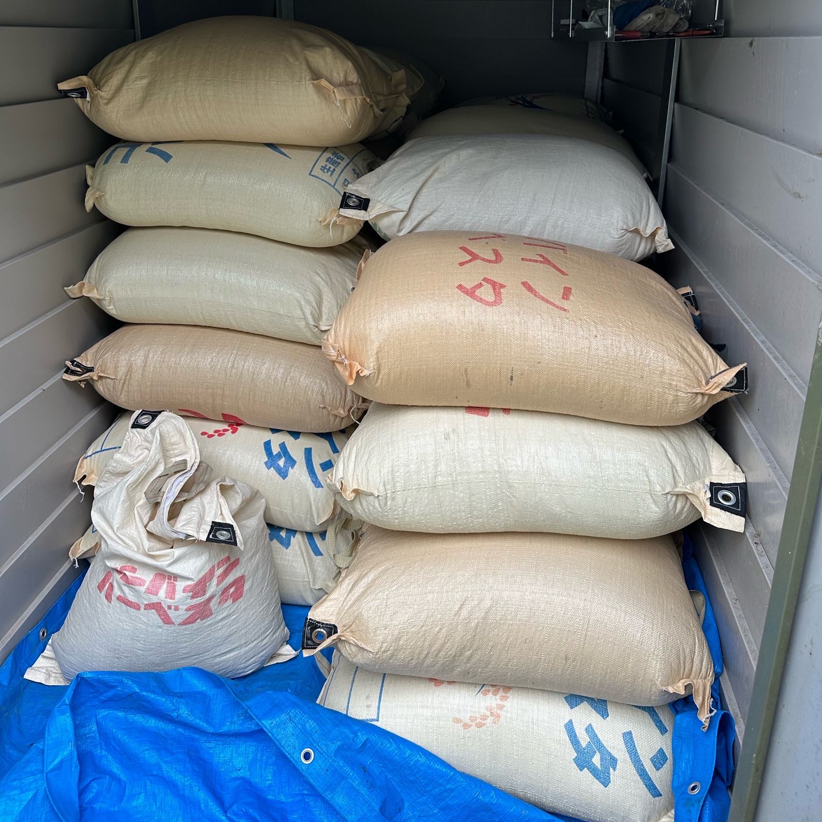 令和7年産 耀農場コシヒカリ ｜ 米・穀物/米/精米 産直アウル 農家