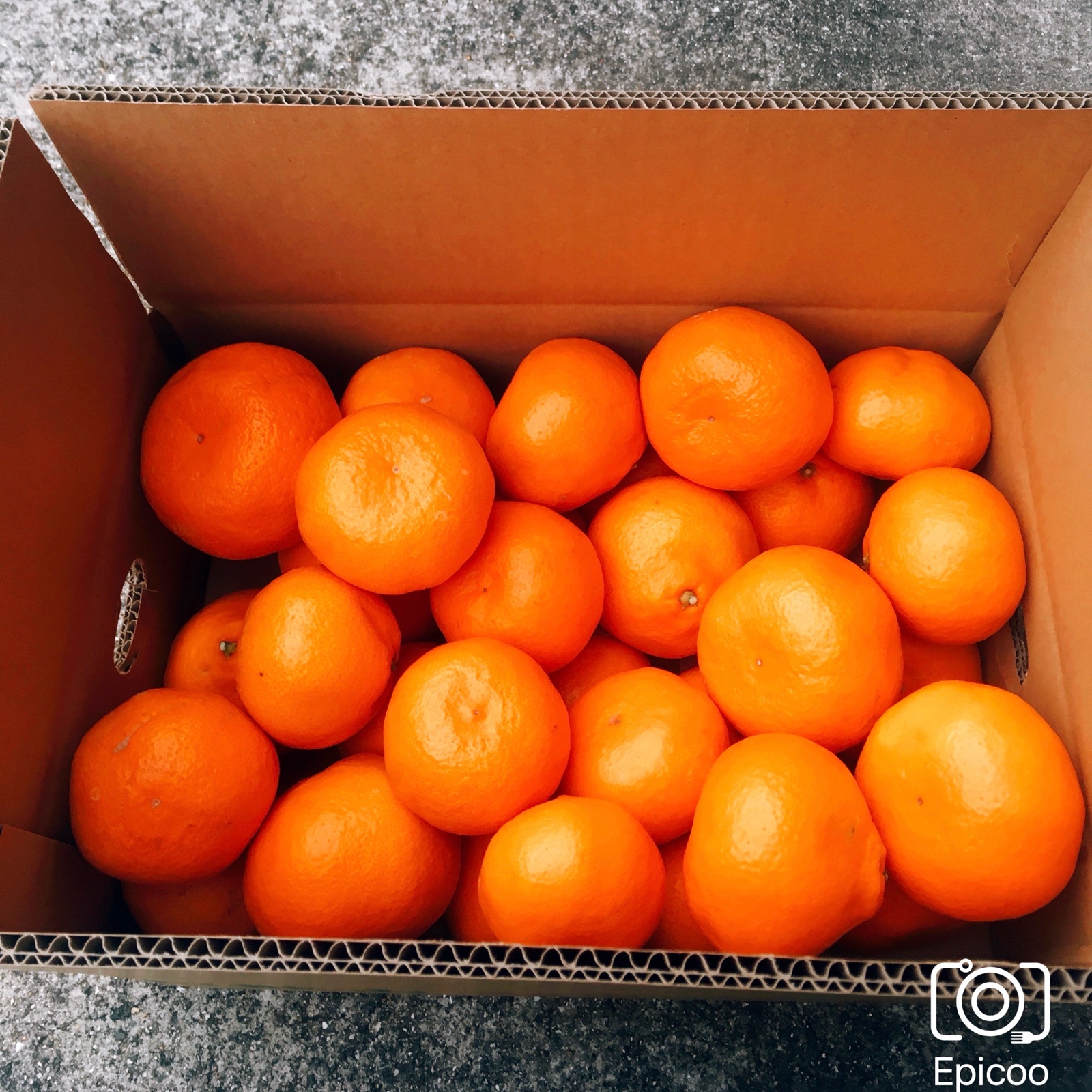 倍量増量中！！サイズ2L以上のあまーい大きな温州みかん20キロ | 果物