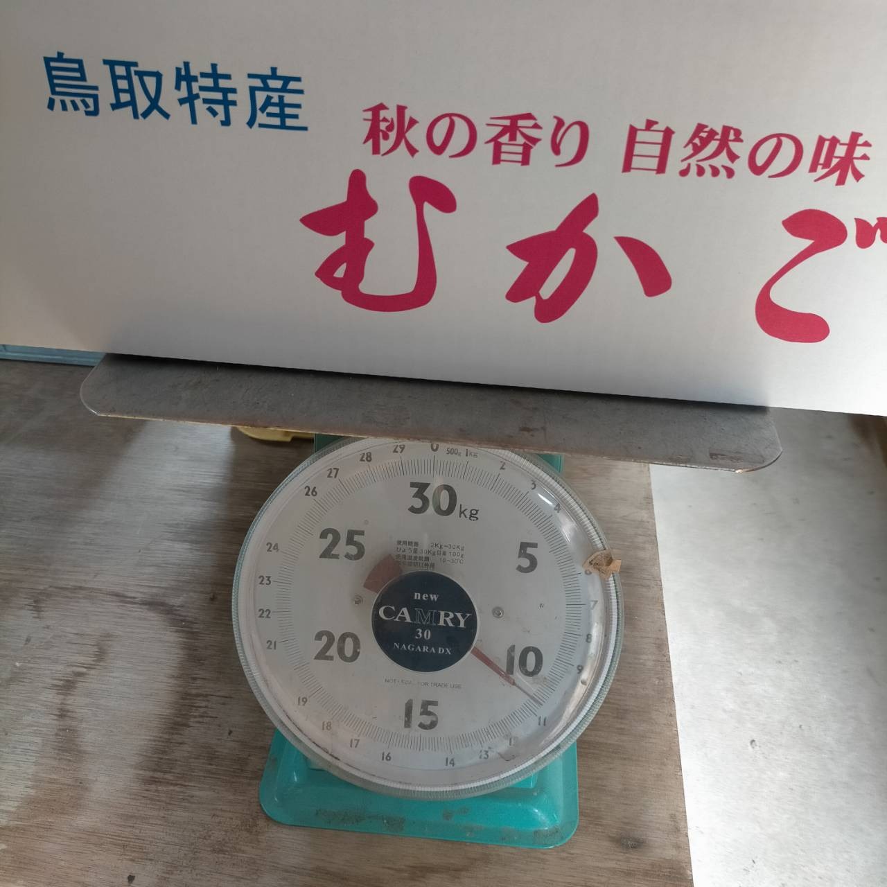 むかご200g (規格外) ＋ 15kg 【濃厚な甘み！】ねばりっこ