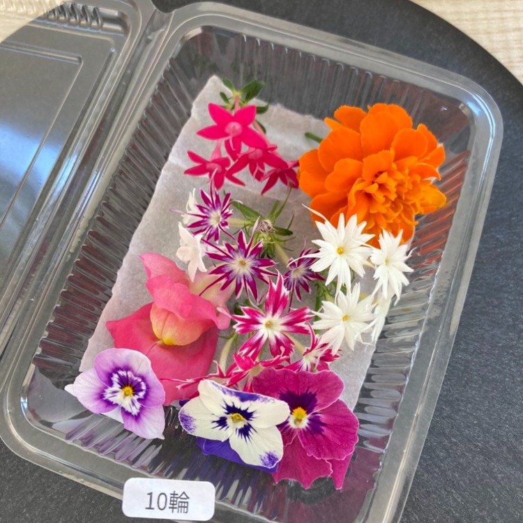 レア【フラワーテーブル】