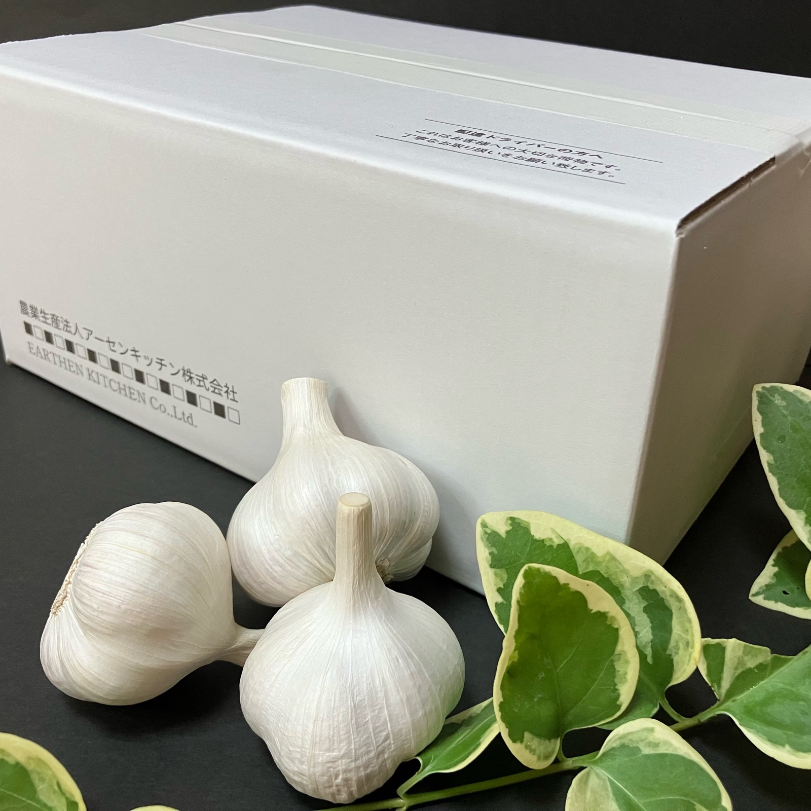 新ニンニク【1.4kg】 ｜ 野菜/にんにく 産直アウル 農家・漁師など生産