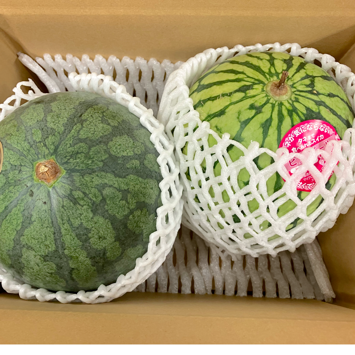 熊本西瓜の味比べ　2玉で7000gほど 選果落ち 訳あり商品】 食べ比べ 熊本 2種類 小玉すいか 合計 2