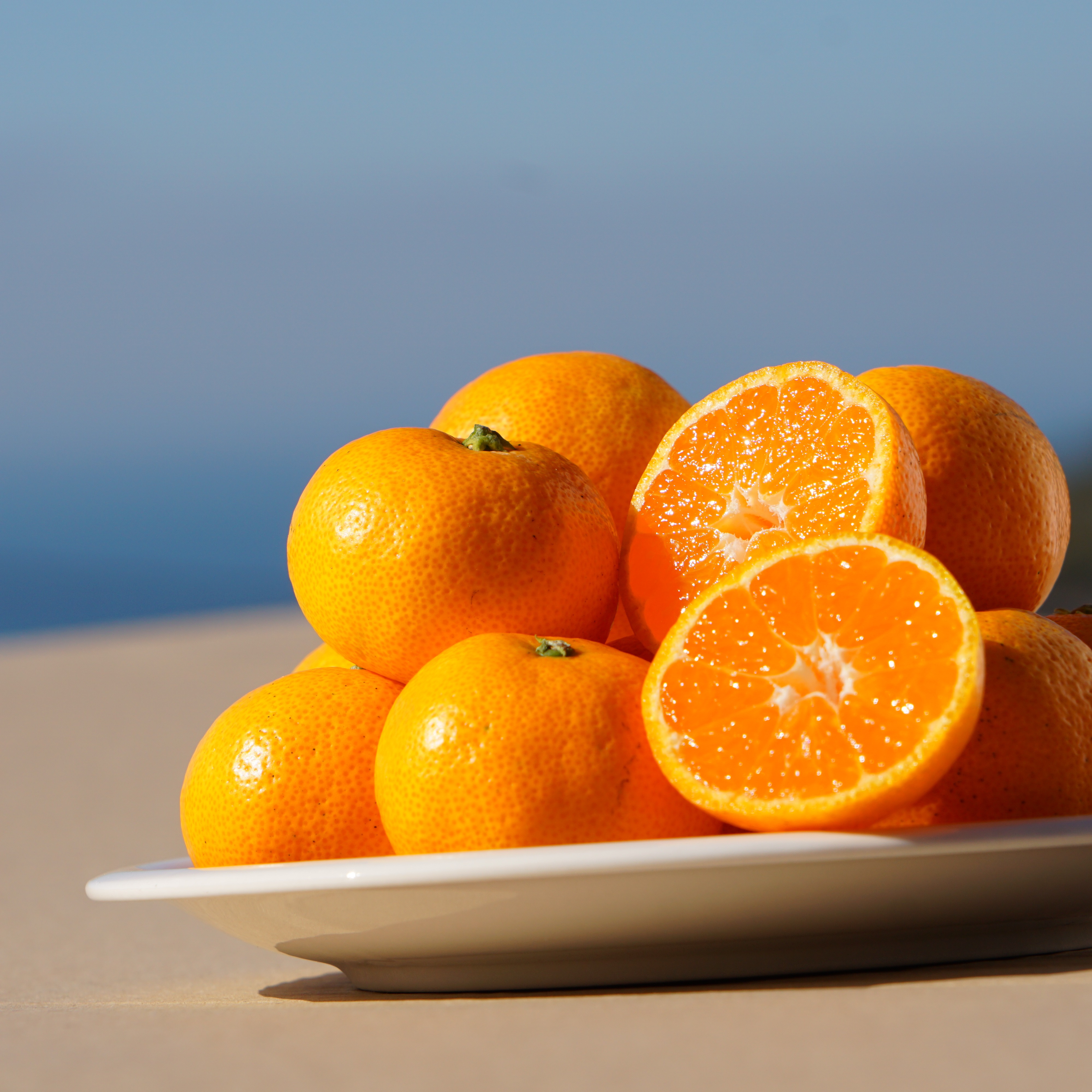 かじ坊みかん！ 小粒5kg Sサイズ以下！！ | 果物/温州みかん 産直