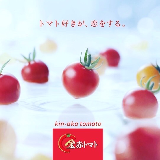 トマト 小鈴ちゃん 岐阜県さかほぎ産ミニトマト ボックス 1kg 産地直送