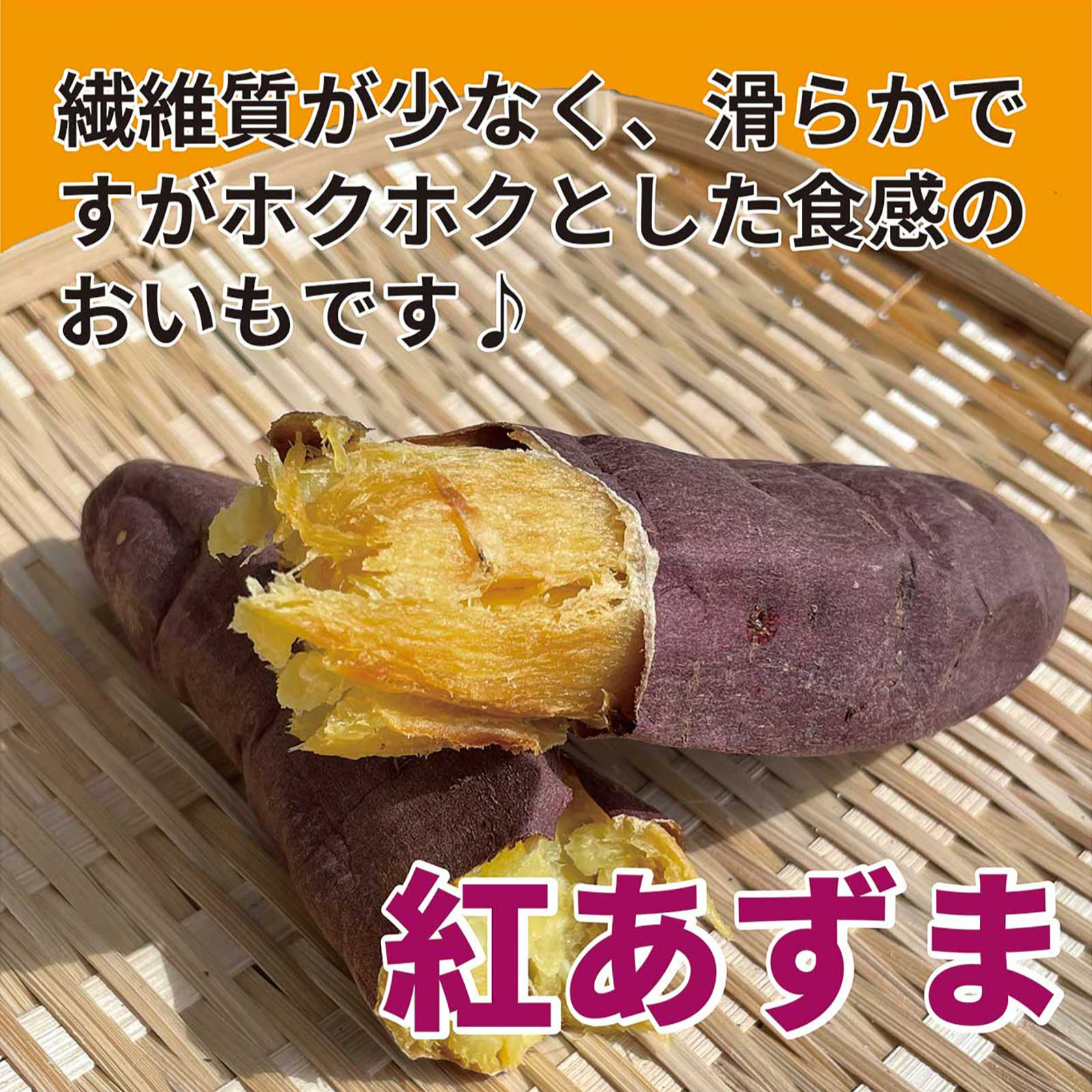 千葉県産 さつまいも 苗 紅あずま 300本 さつまいも 千葉県山武市産紅あずま 3kg ｜ 野菜/さつまいも 産直