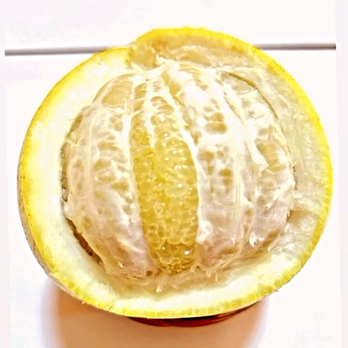 パール柑】20箱限定※完全無農薬栽培《大玉・中玉混合8玉、5kg内