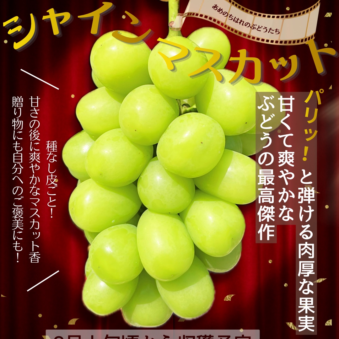 朝穫れ新鮮】シャインマスカット約1キロ 期間限定送料割引 ｜ 果物