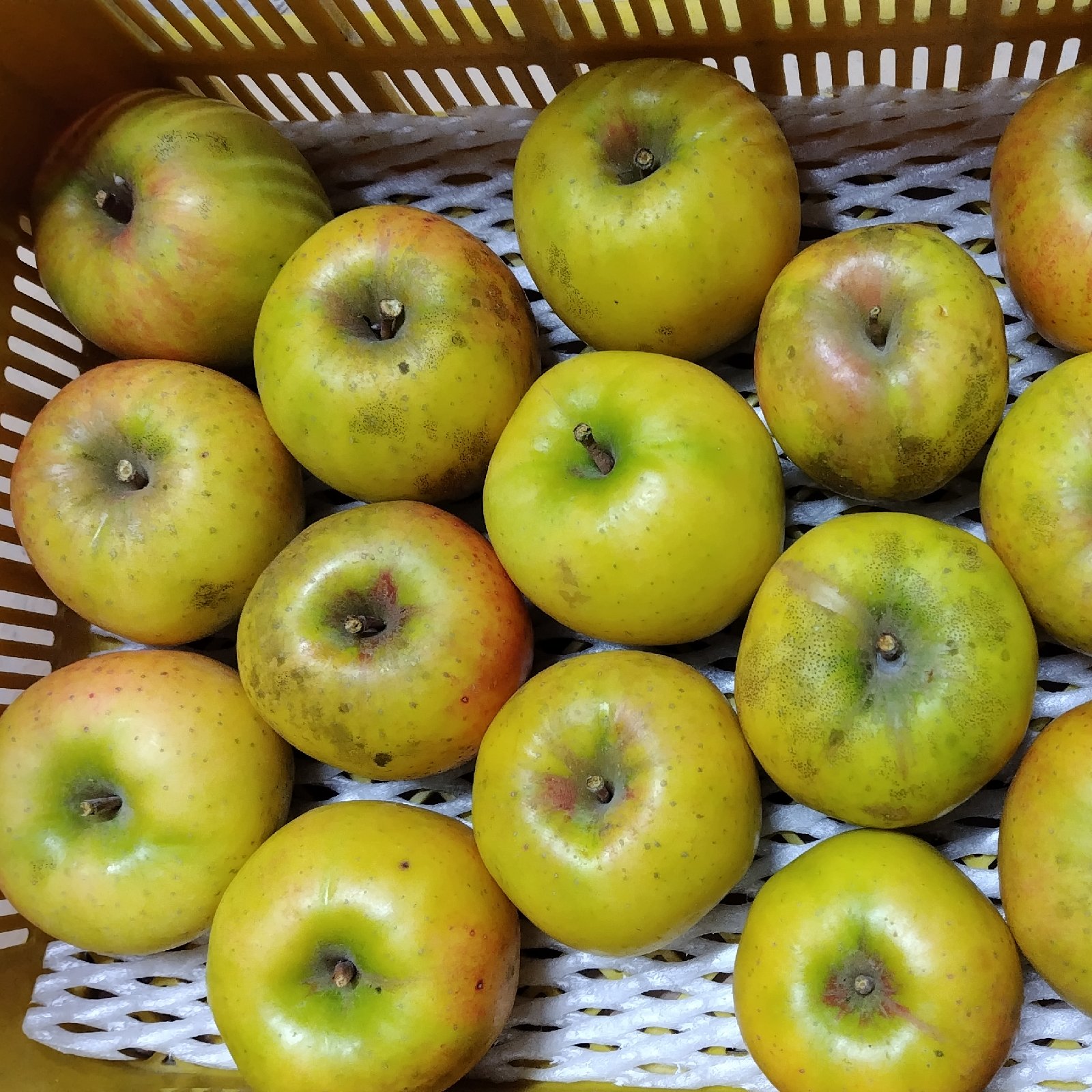 山﨑りんご農園（長野県・麻績村）｜生産者詳細｜産直アウル