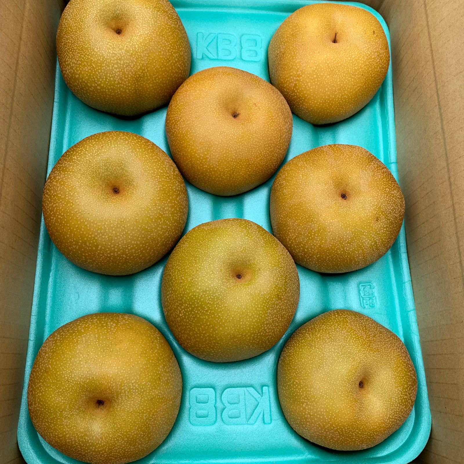 豊水梨 約3kg 長野県南信州産 ｜ 果物/梨 産直アウル 農家・漁師など