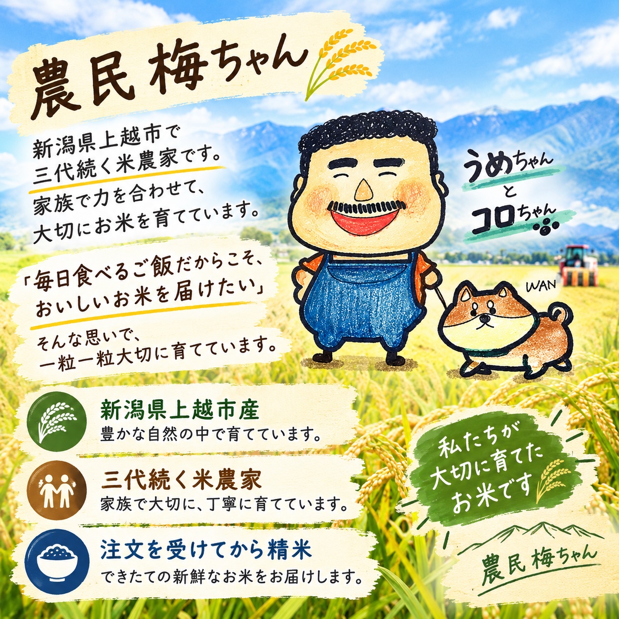 令和8年産 新米コシヒカリ2キロ ｜ 米・穀物/米/精米 産直アウル 農家