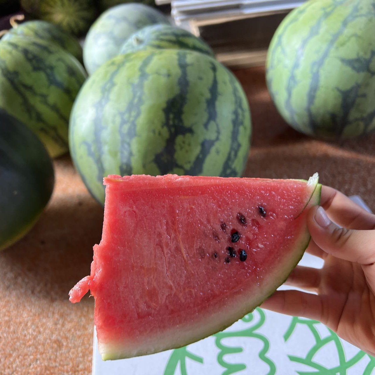 紅まくら 12kg 1玉 北海道産 | 果物/スイカ 産直アウル 農家から