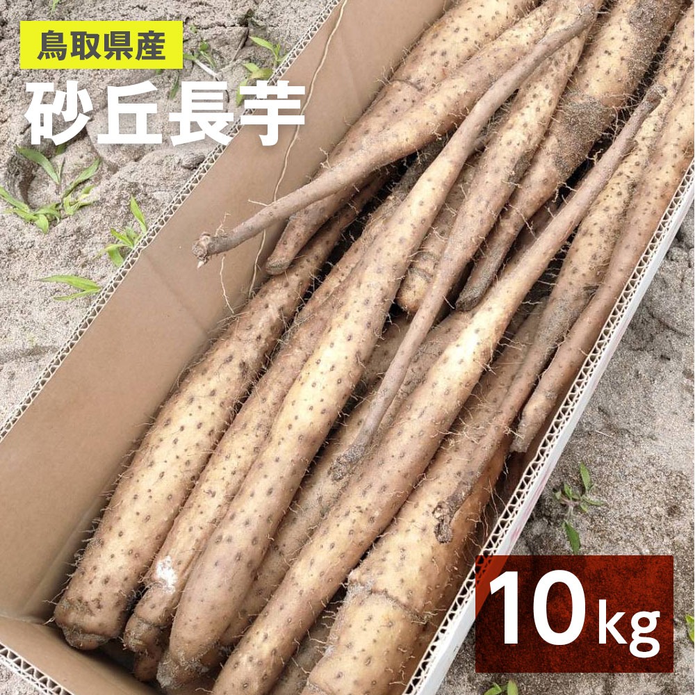 家庭用】ねばりっこ とりたて 10kg程度 長芋 とろろ ねばり 山芋
