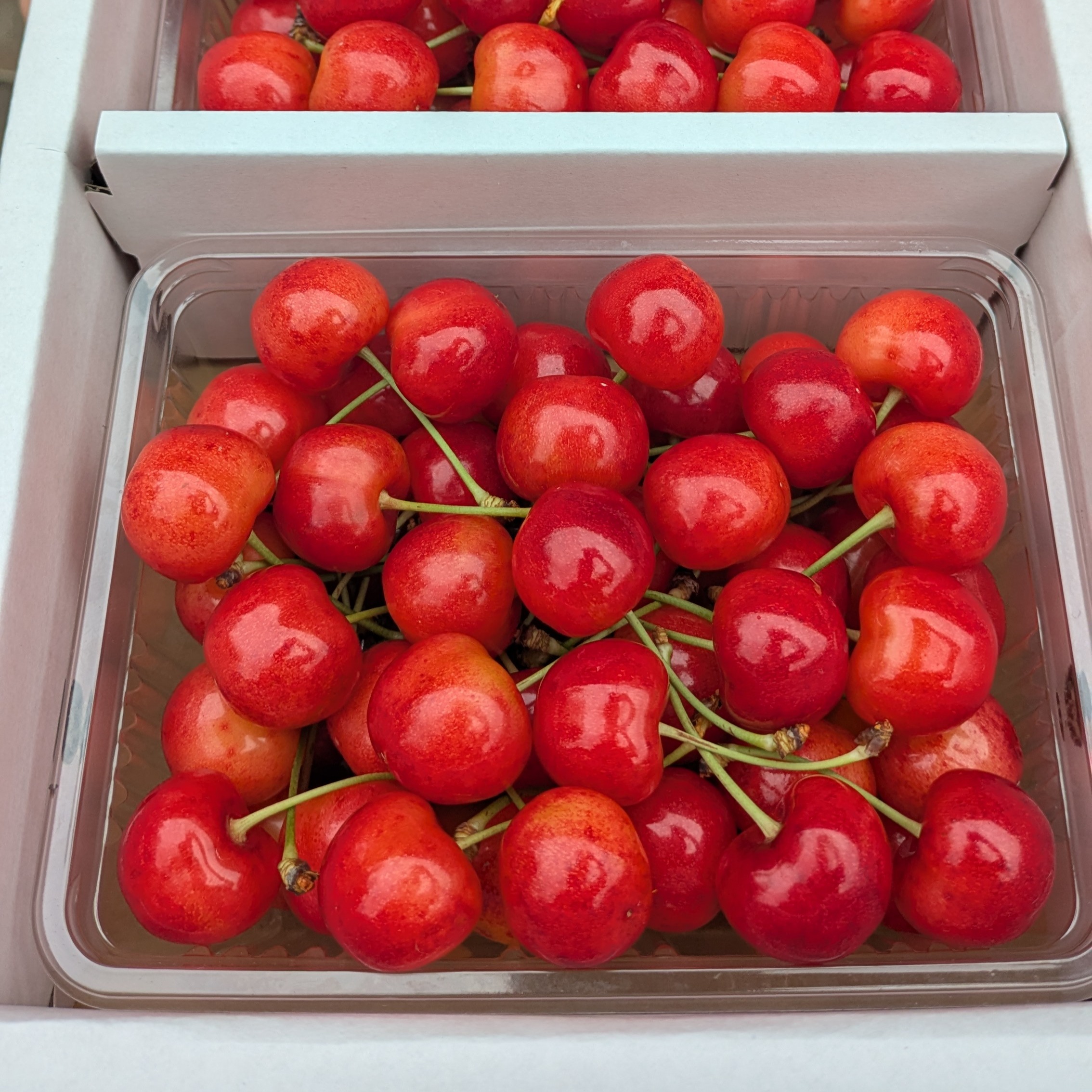 数量限定】 紅秀峰《特秀》｜朝もぎ直送 山形県東根市産 500g