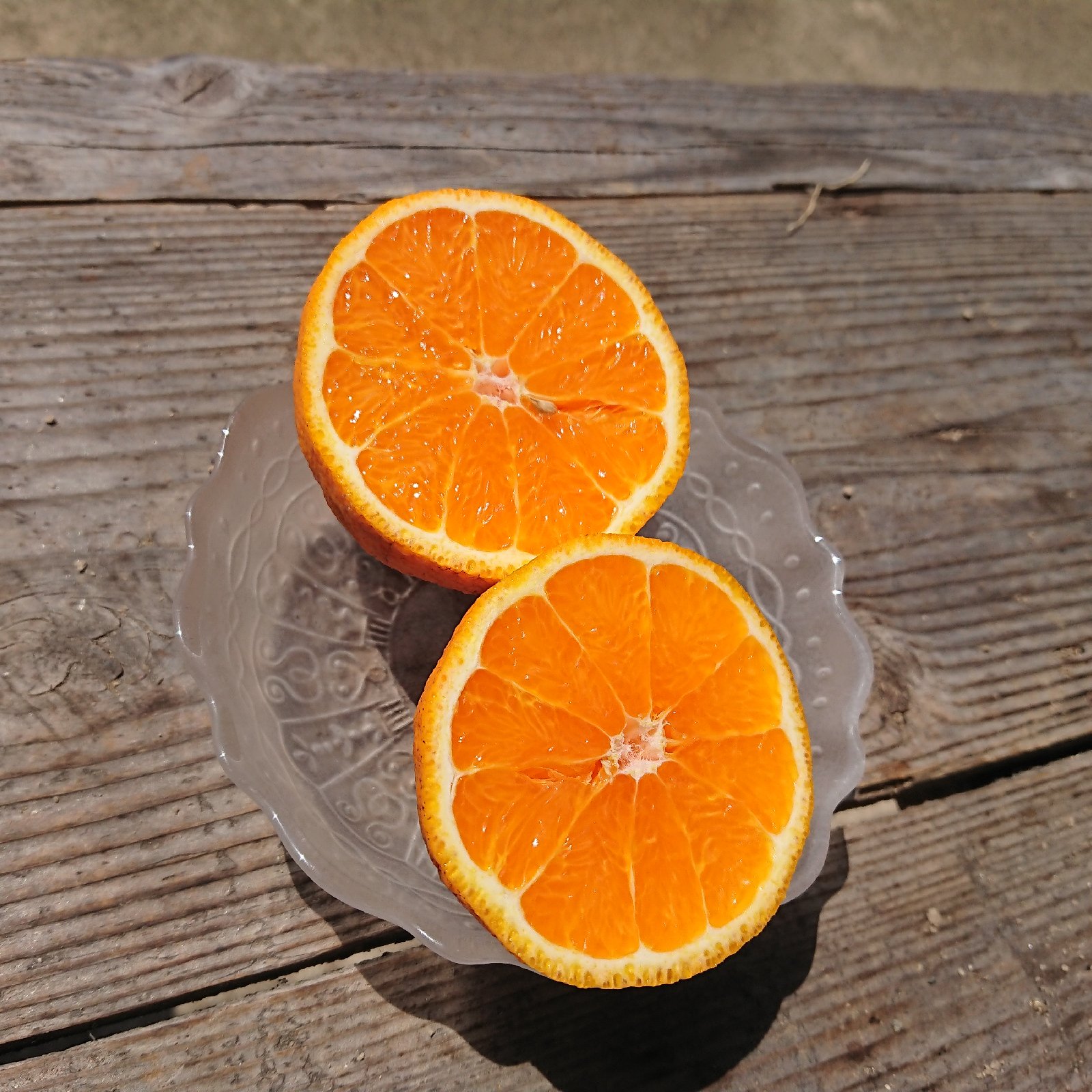 無農薬完熟不知火(デコポン)(5kg)/(しまでこジュース1本サービス