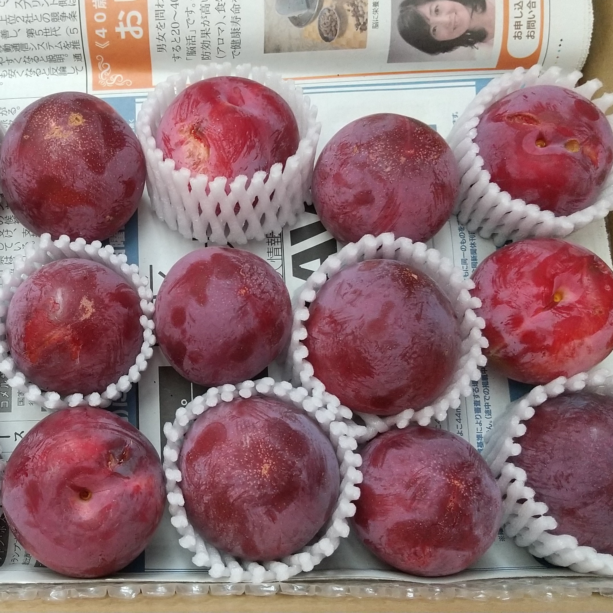 無農薬の極甘すもも 赤い果肉のジューシーすもも1.2キロ | 果物/すもも