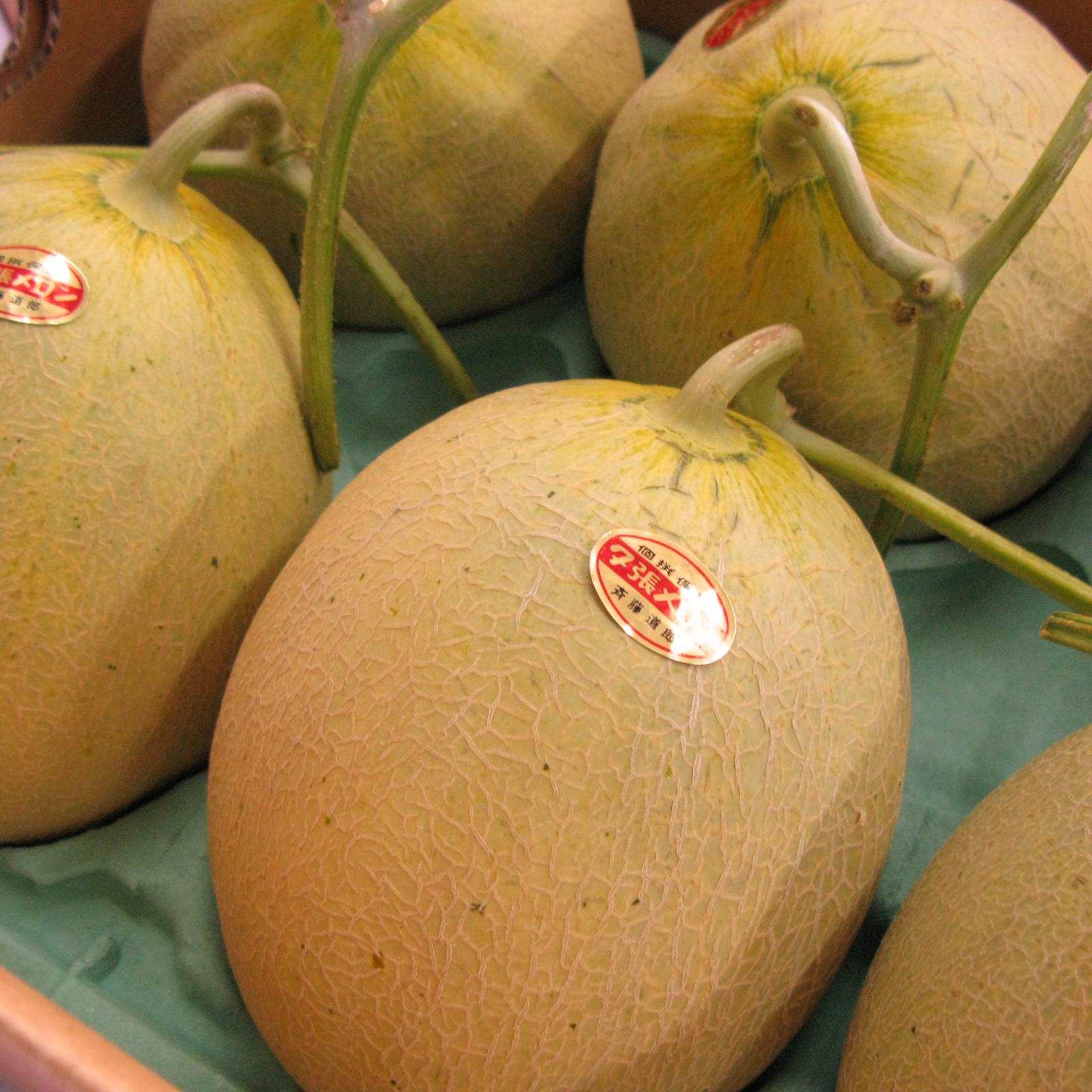 高知産メロン3個セット訳あり