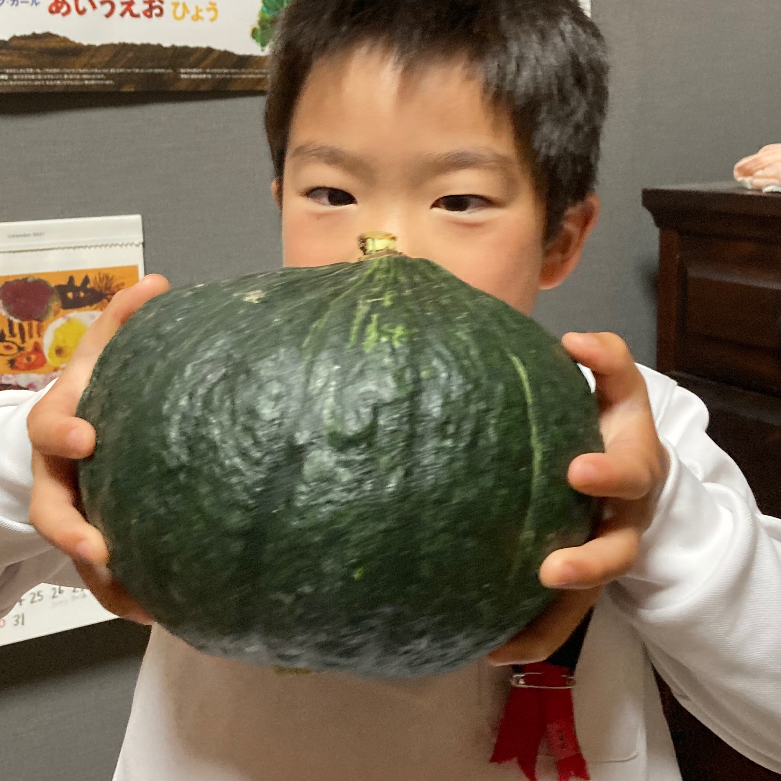 九重くりカボチャ 2玉 ｜ 野菜/かぼちゃ 産直アウル 農家・漁師など