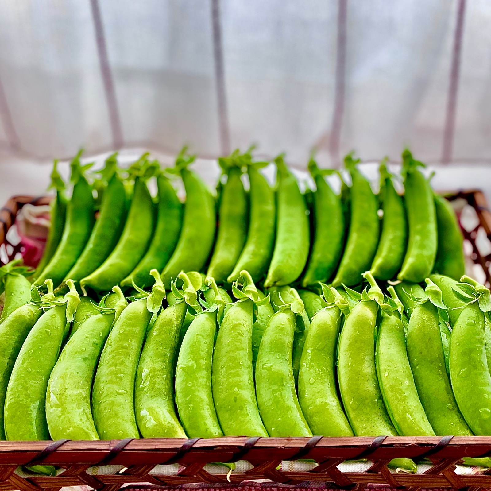 産地詳細 | 鹿児島県鹿児島市 | 産直アウル 農家から直接野菜などの