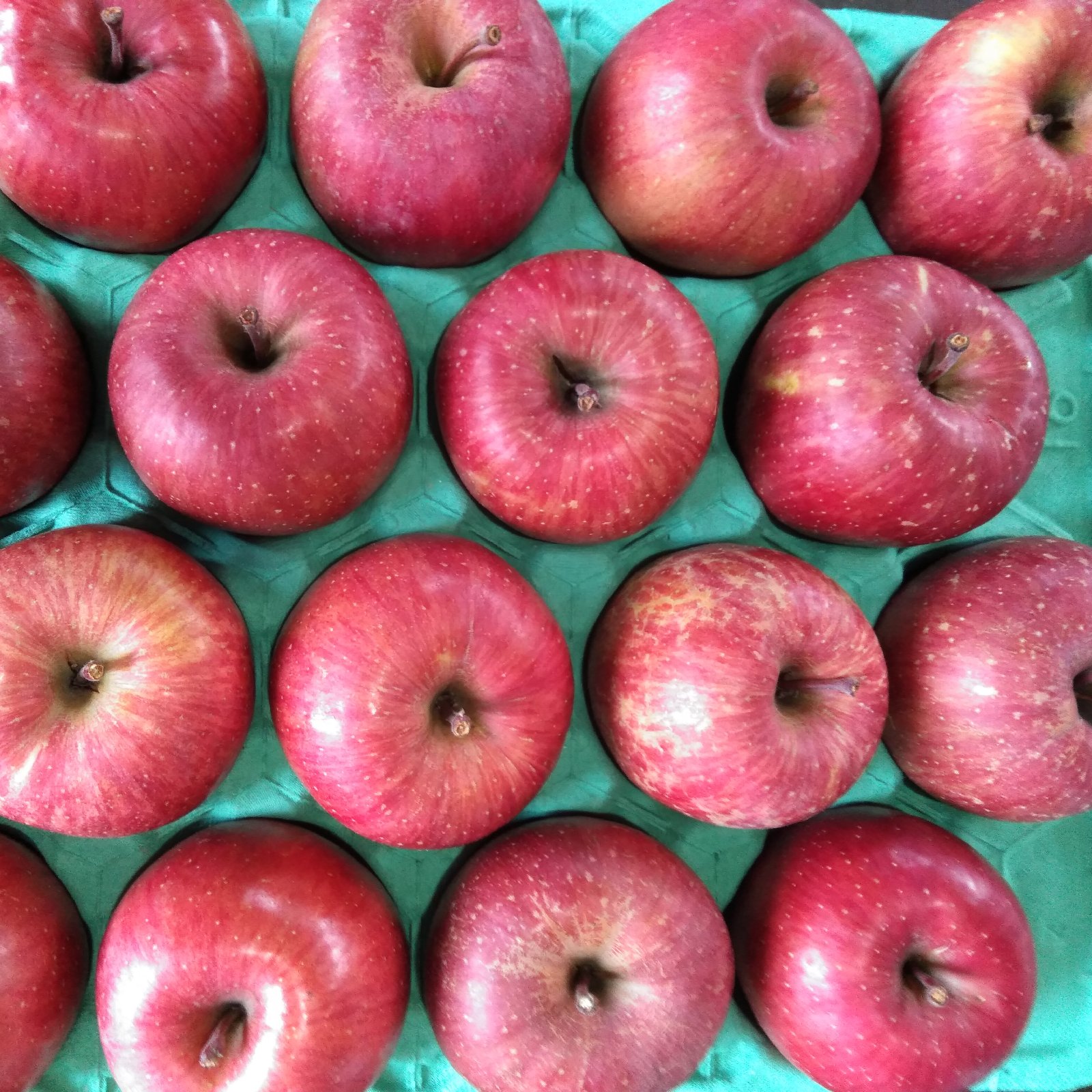 リンゴ工房 工藤りんご園（青森県・弘前市）｜生産者詳細｜産直アウル