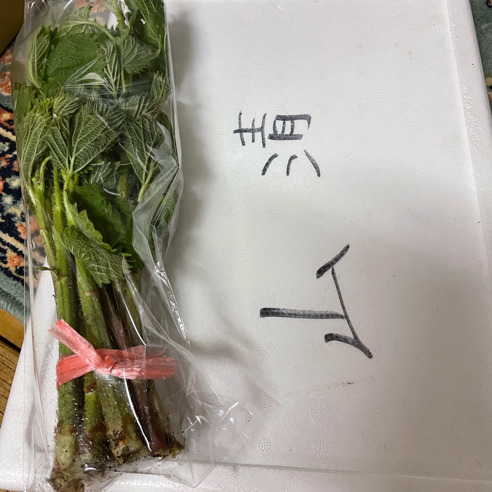 葉物の代表山菜 3種 ホンナ、アイコ、シドケのセット ｜ 野菜/山菜 