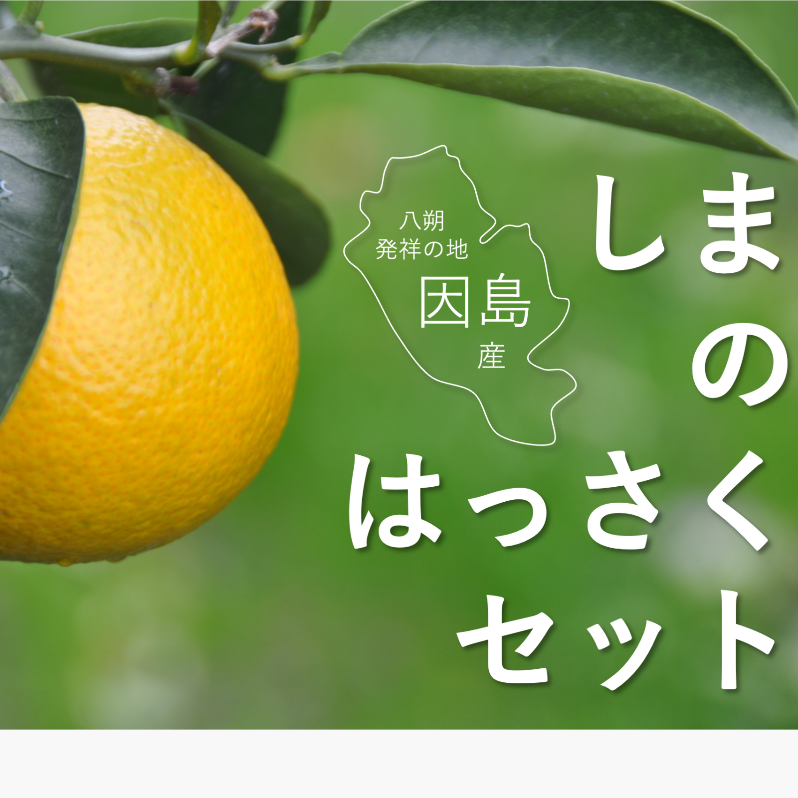瀬戸内・しまのフルーツBanjoh-ya(盤常屋)（広島県・尾道市）｜生産者