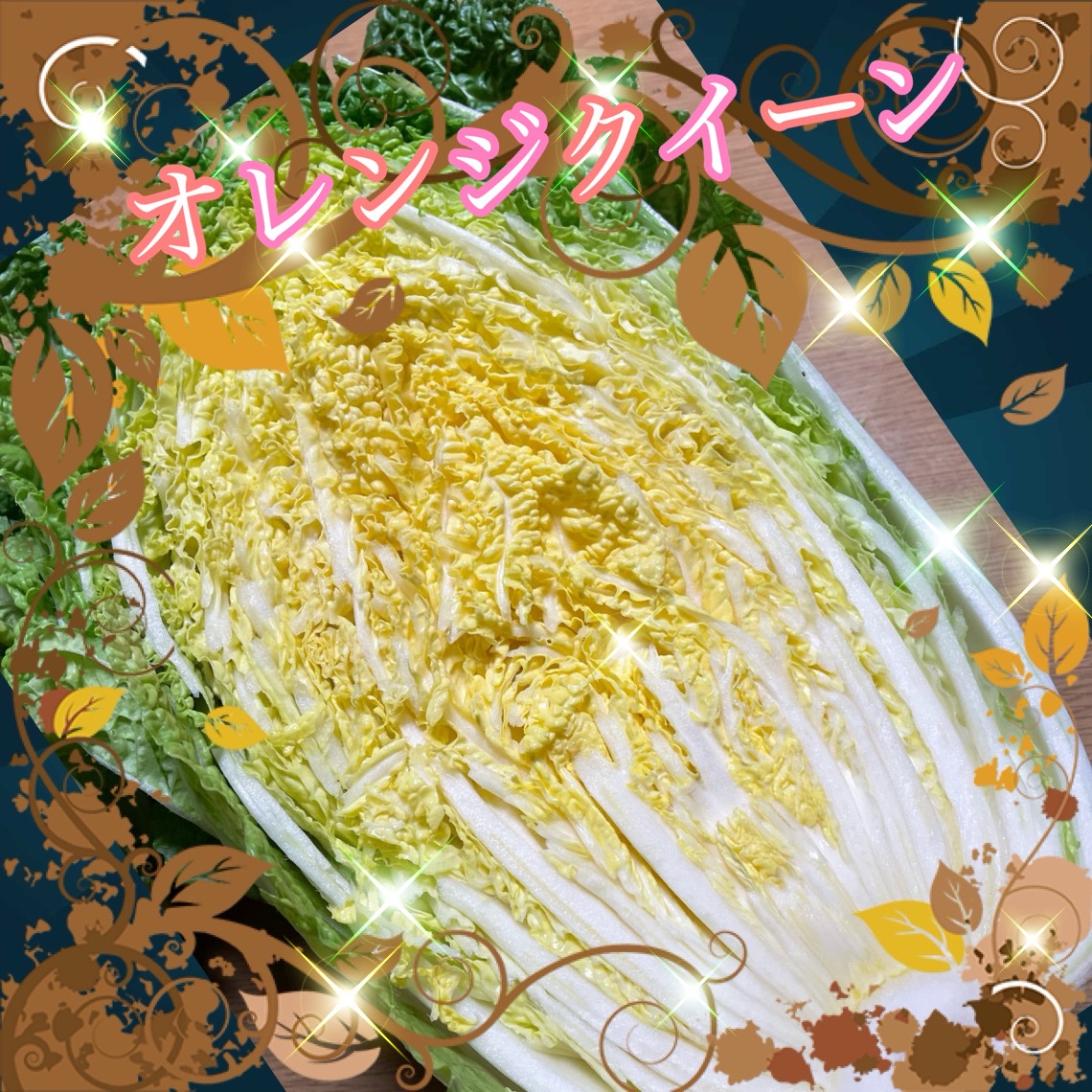 白菜とオレンジクイーンの食べ比べセット ｜ 野菜/白菜 産直アウル